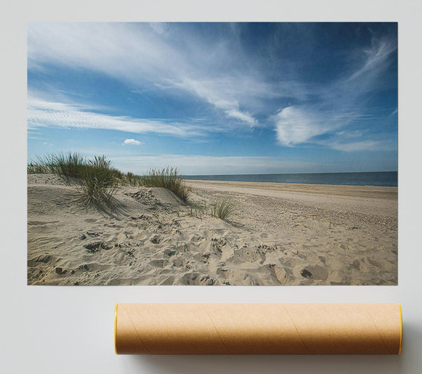 Blue Sky Beach Dunes