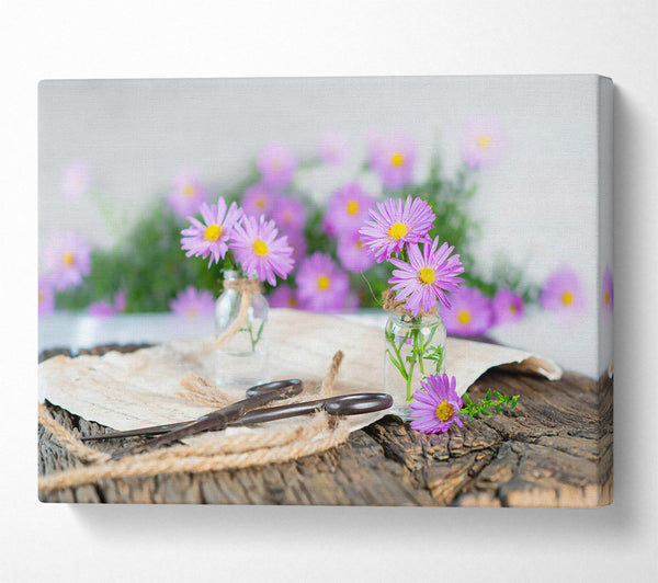 Lilac Blooms In Jars