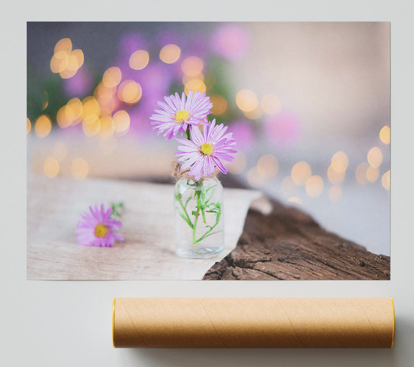 Lavender Light Blooms