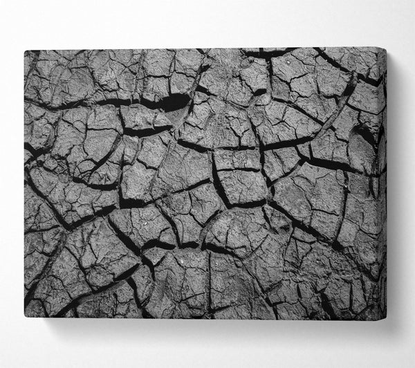 Black Cracked Earth