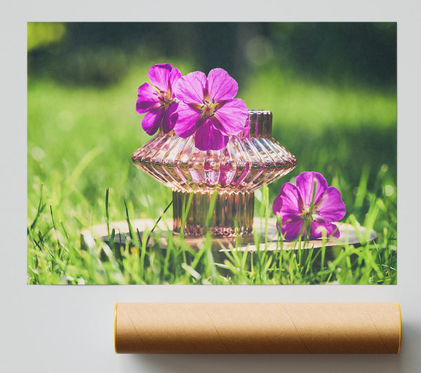 Pink Bloom In Glass