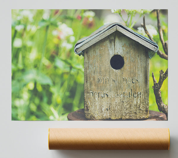 Green Wooden Haven