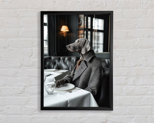 Silver Labrador Ready For Dinner