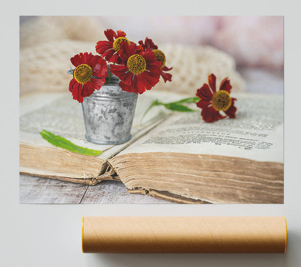 Crimson Blooms On Old Book