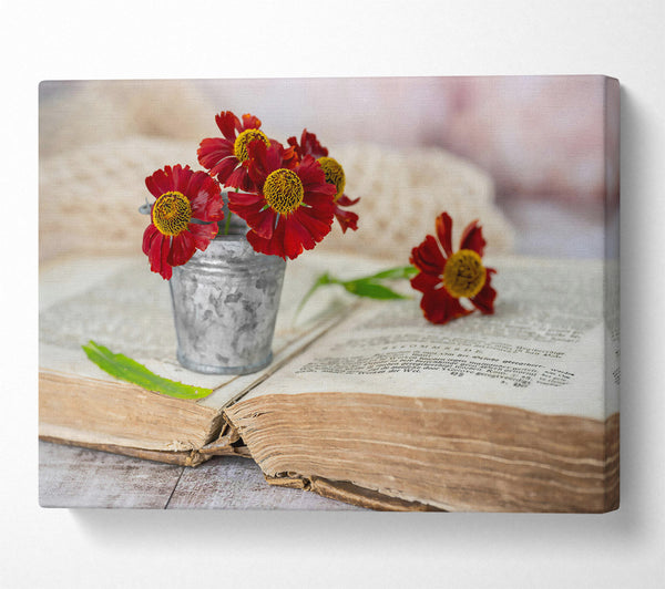 Crimson Blooms On Old Book