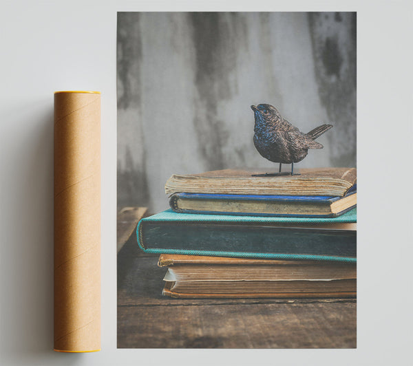 Teal Bird On Books