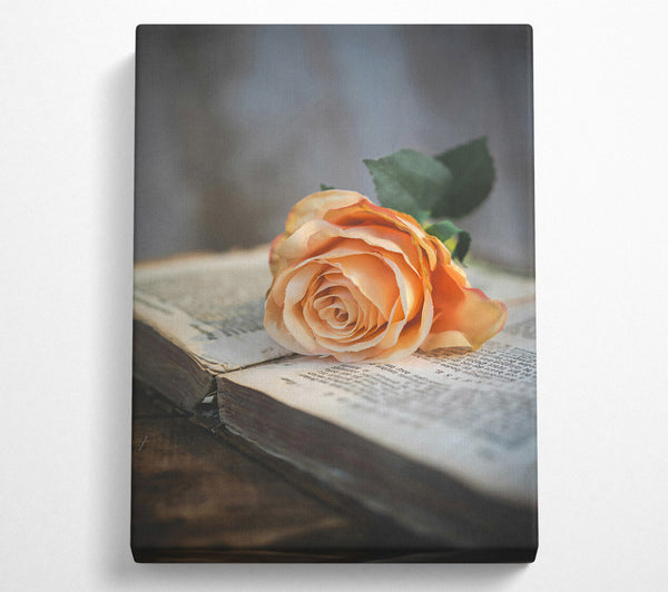 Peach Rose On Book