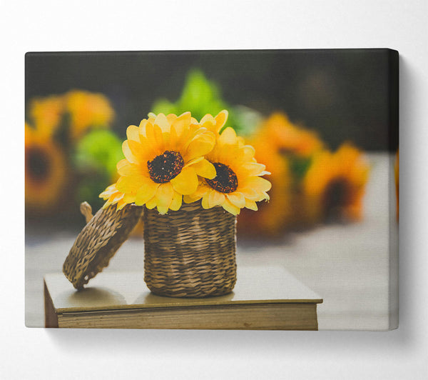 Golden Sunflowers In Basket