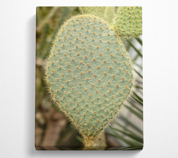 Green Prickly Heart