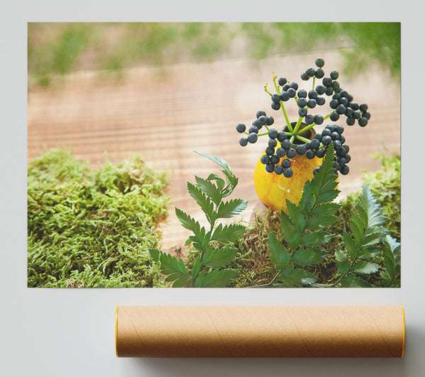 Yellow Berries On Moss