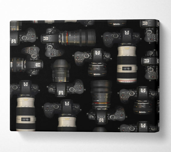 Black Camera Collection