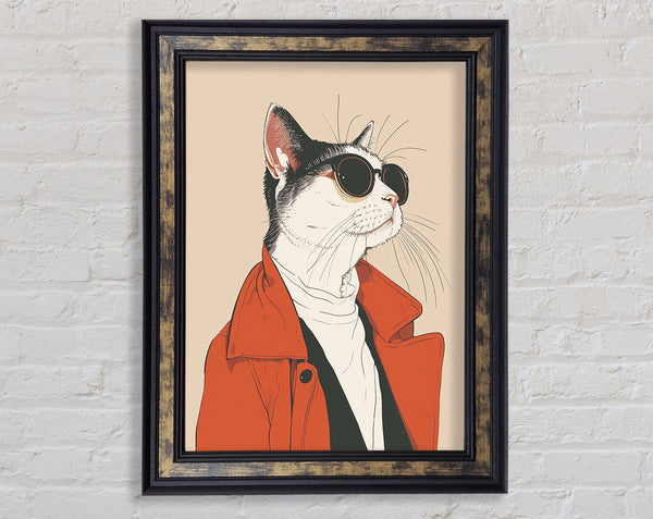 Sunglasses Coat Cat