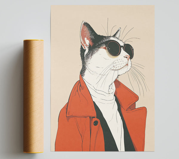 Sunglasses Coat Cat