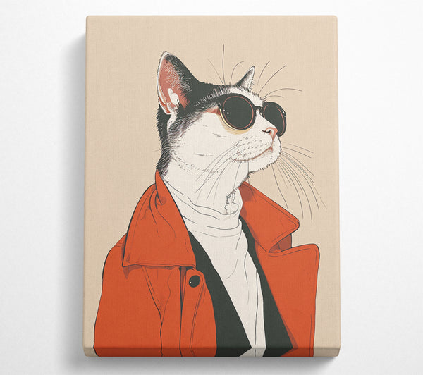 Sunglasses Coat Cat