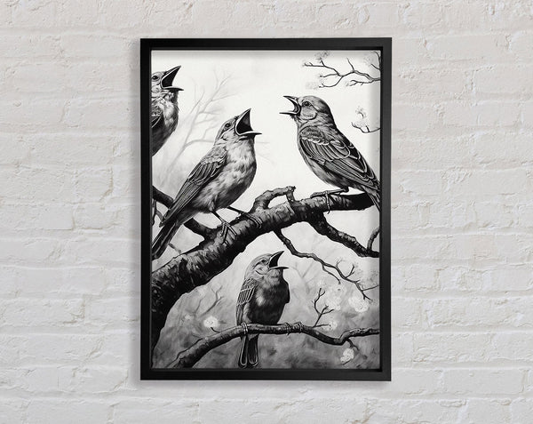 The Birds In Black And White