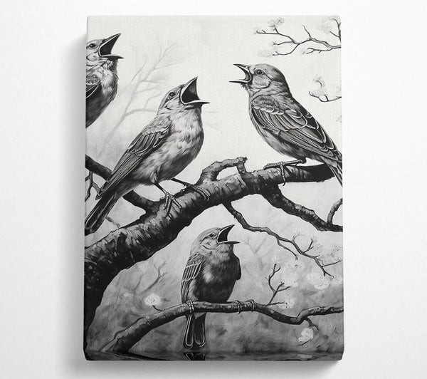 The Birds In Black And White