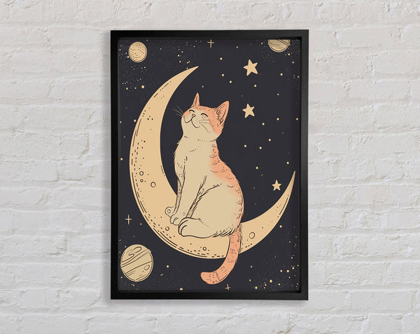 The Cat On The Moon