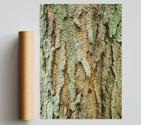 Green Weathered Bark