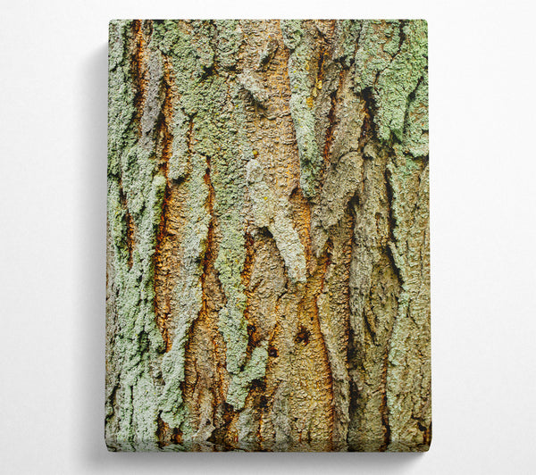 Green Weathered Bark