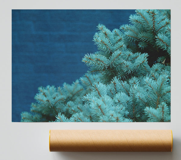 Teal Pine Branches