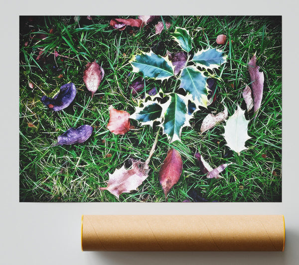 Green And Red Fallen Leaves