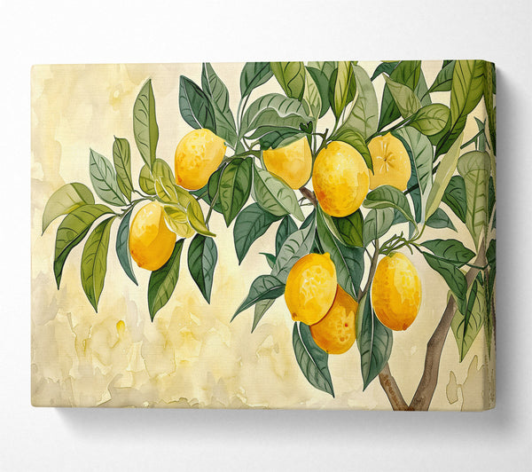 Golden Lemon Grove