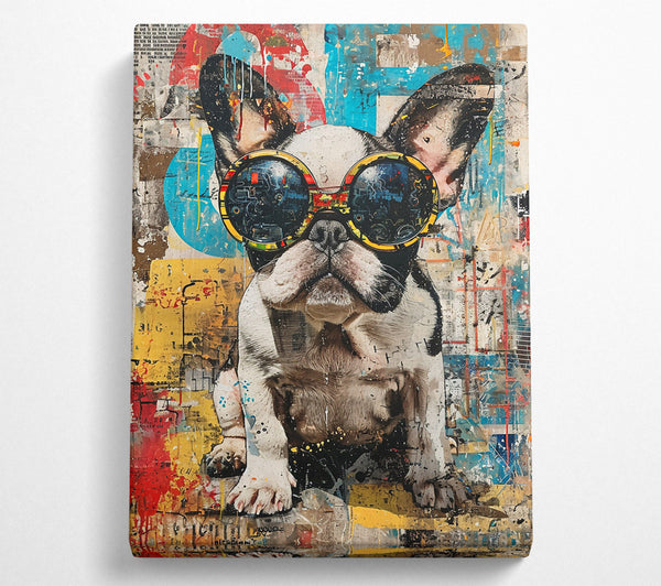 Blue Shades Frenchie