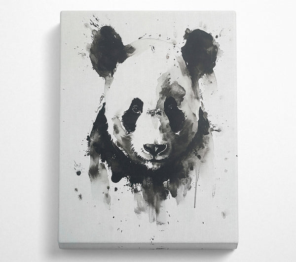 Black And White Panda