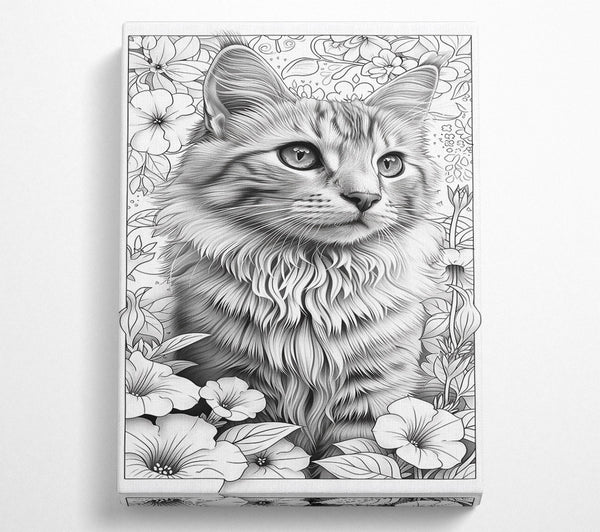 Silver Feline Bloom