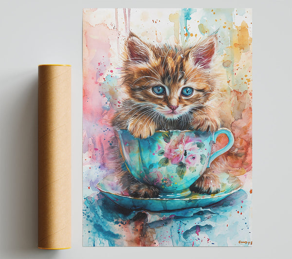 Blue Teacup Kitten