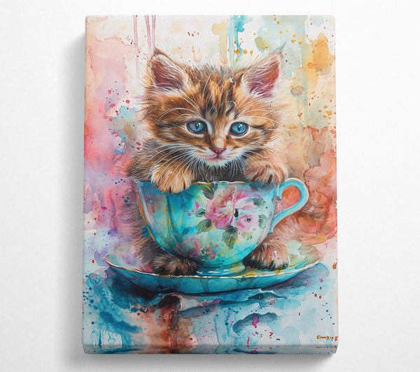 Blue Teacup Kitten