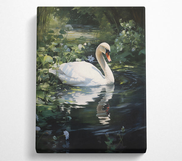 White Swan In Green Water