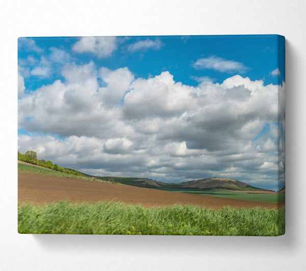 Brown Fields And Clouds