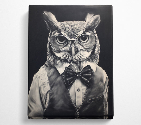 Black & White Owl In A Vest