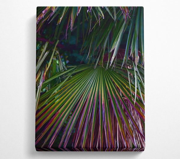 Purple Palm Fronds