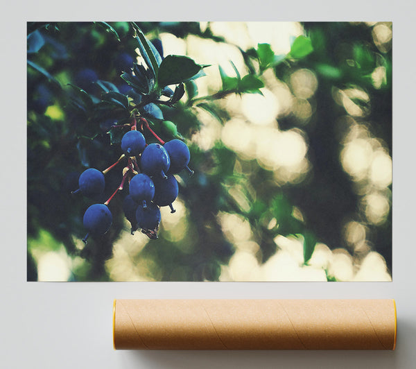 Indigo Berry Cluster