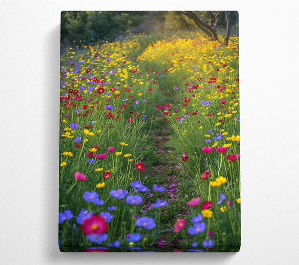 Wildflower Pathway