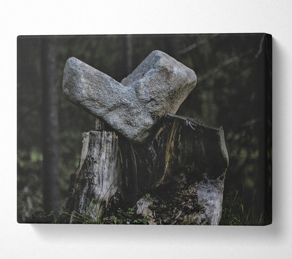 Gray Stone On Stump