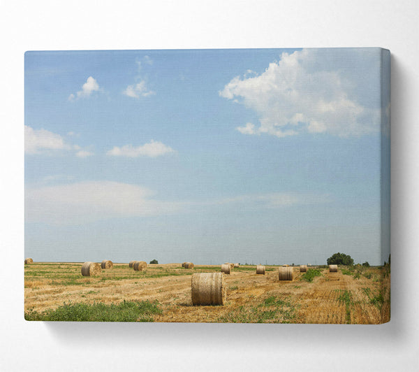 Golden Hay Bales Sky