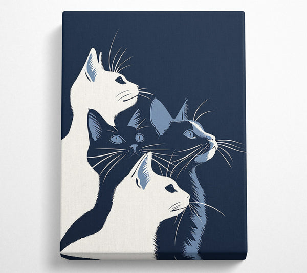 Midnight Blue Feline Trio