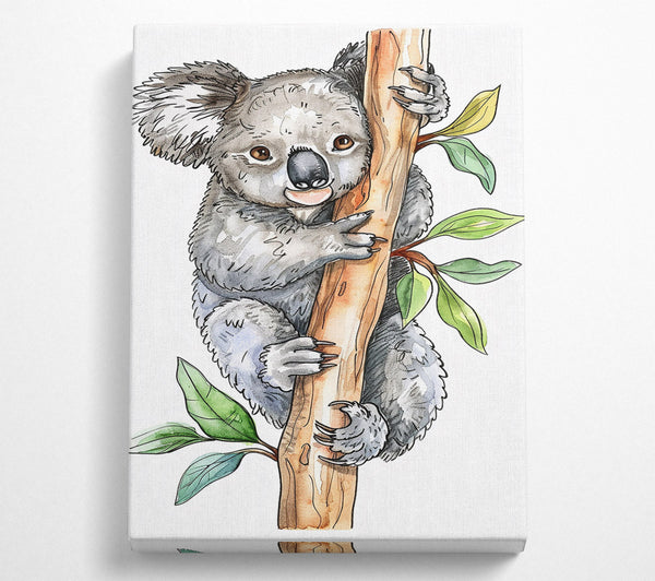 Grey Koala'S Embrace