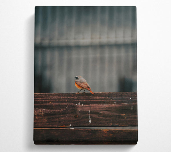 Red Bird On Brown Wood