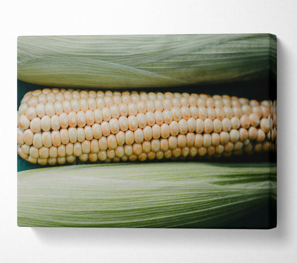 Creamy Corn Cob Rows