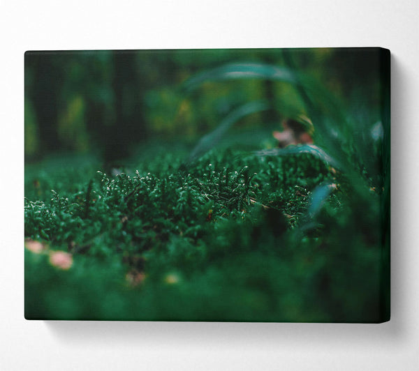 Emerald Green Moss