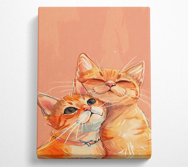 Orange Cat Companionship