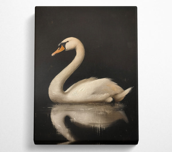 White Swan On Black Water