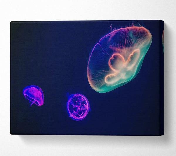 Neon Blue Jellyfish