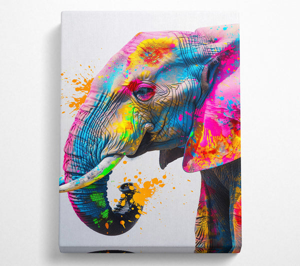 Orange Splashed Elephant