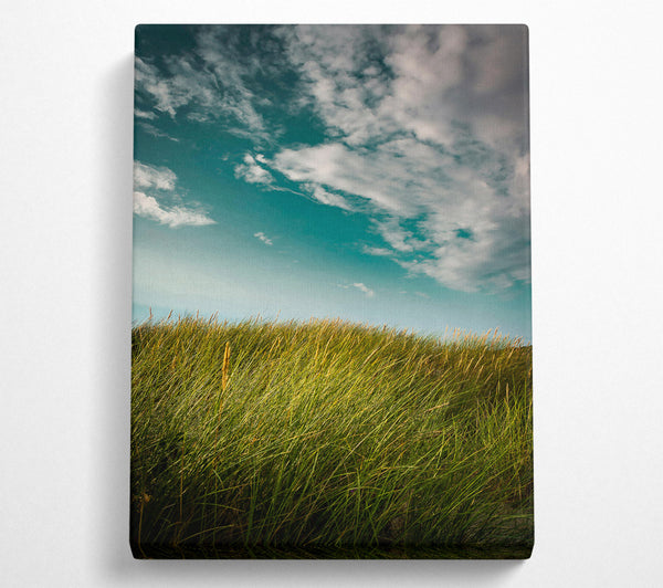 Teal Sky Grassland