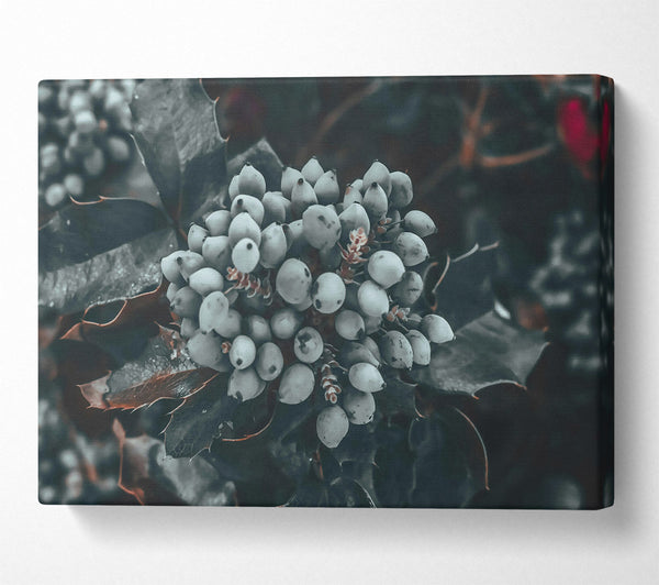 Silver Berry Cluster